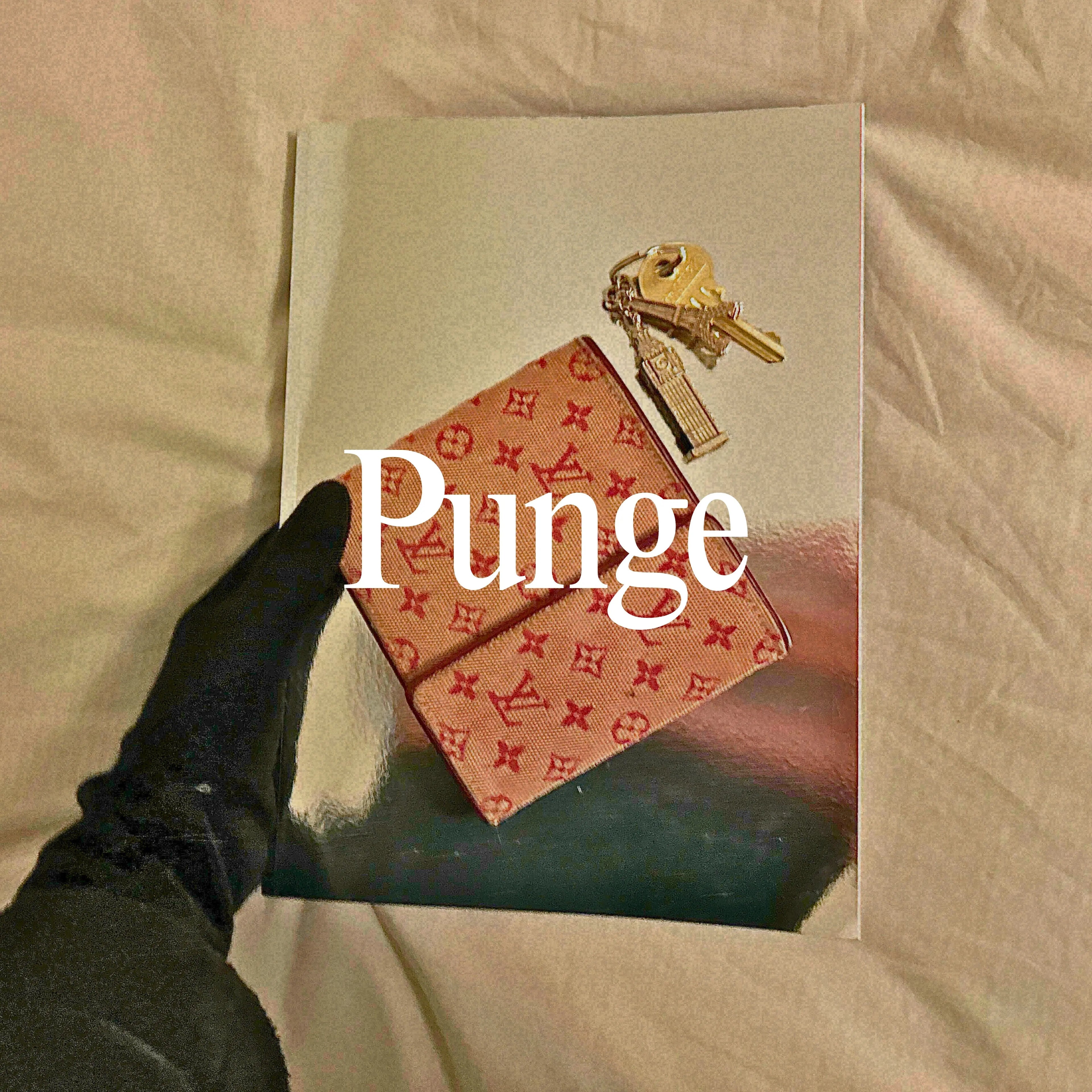 Punge Hidden Luxury Project