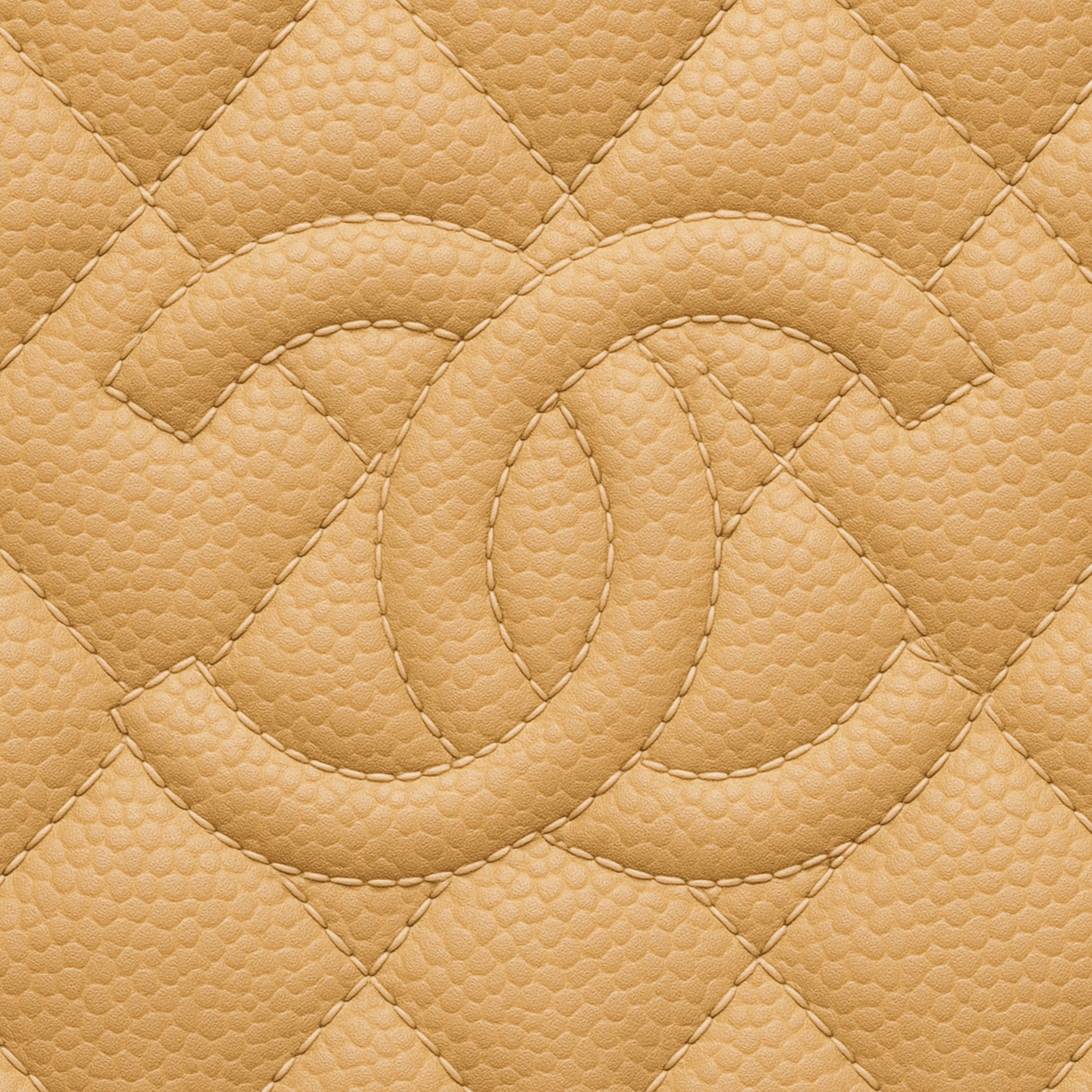 Chanel Kollektion af Designertasker fra 999 kr - Spar op til 90% af nyprisen på dine designertasker hos Hidden Luxury Project