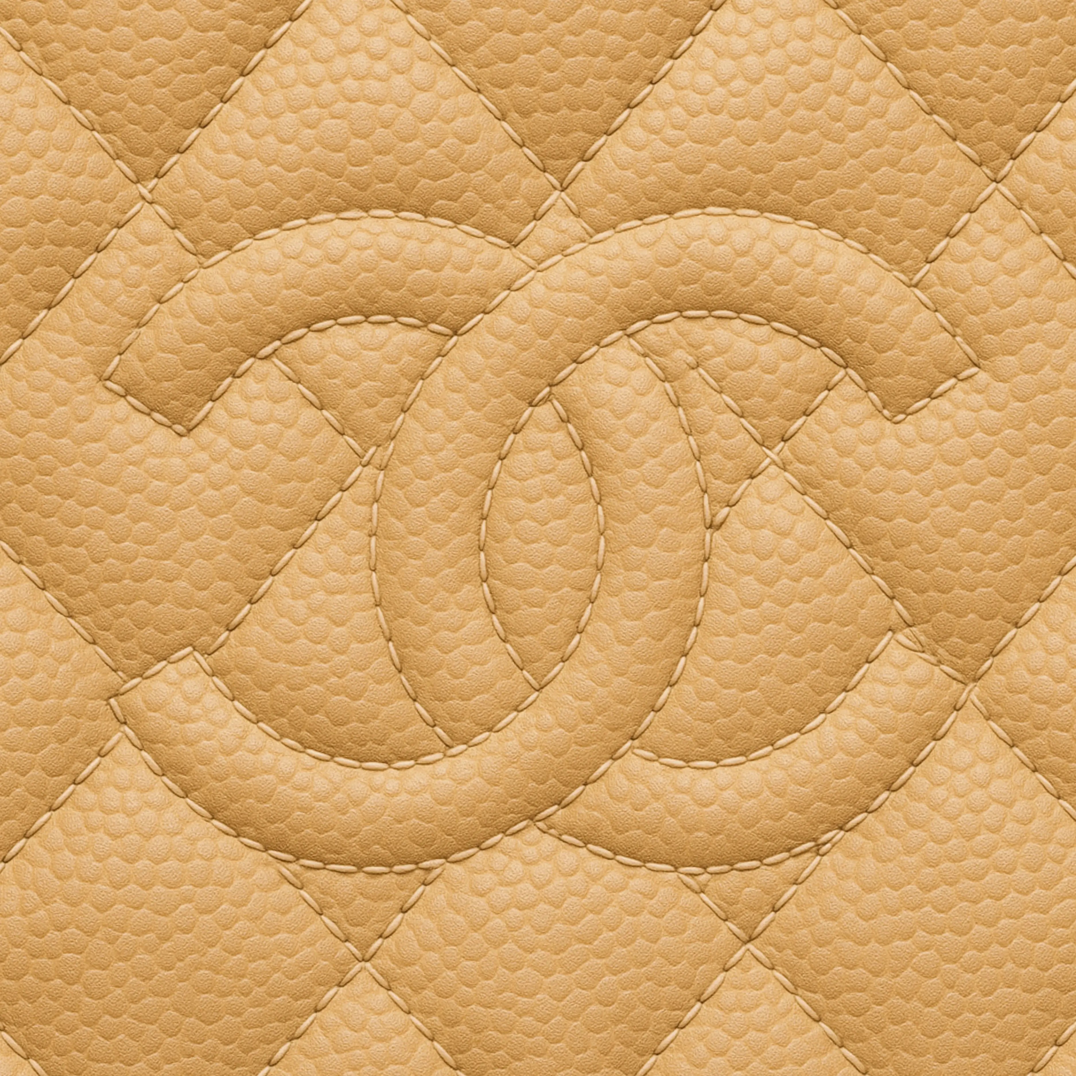 Chanel Kollektion af Designertasker fra 999 kr - Spar op til 90% af nyprisen på dine designertasker hos Hidden Luxury Project