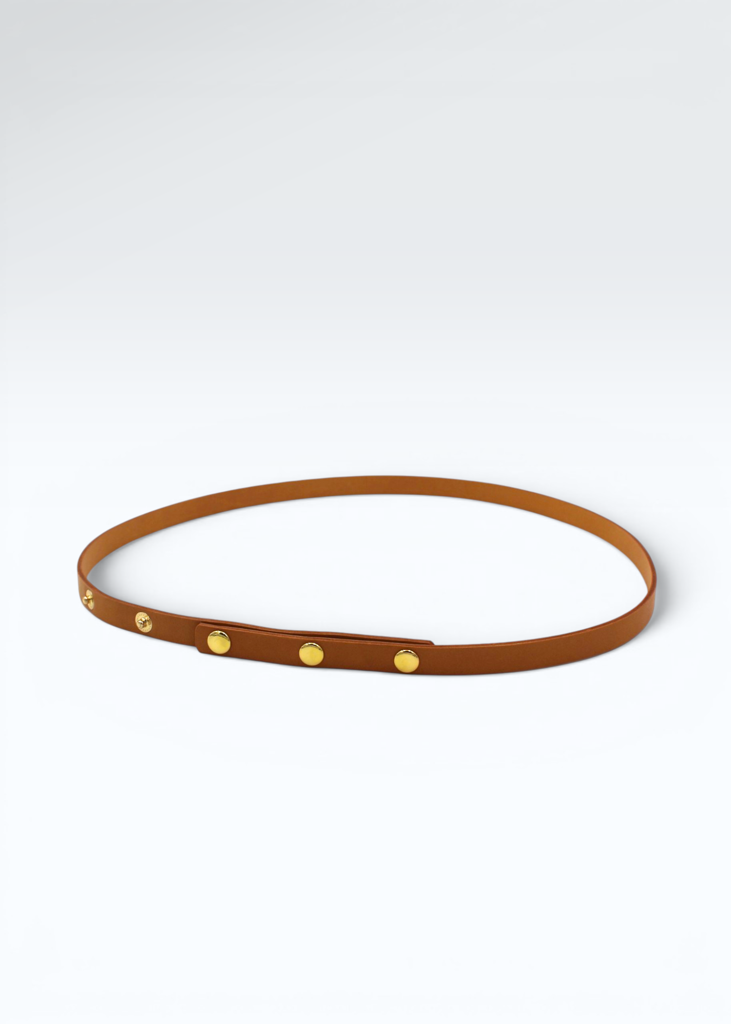 Vachetta Læderrem med Patineret Finish til Louis Vuitton Pochette Florentine Hidden Luxury Project
