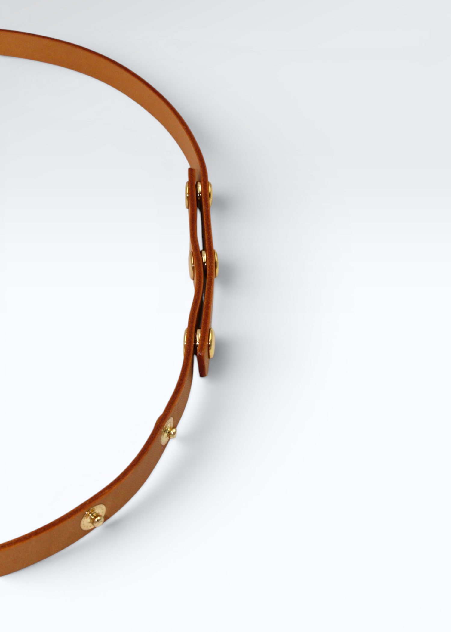 Vachetta Læderrem med Patineret Finish til Louis Vuitton Pochette Florentine Hidden Luxury Project
