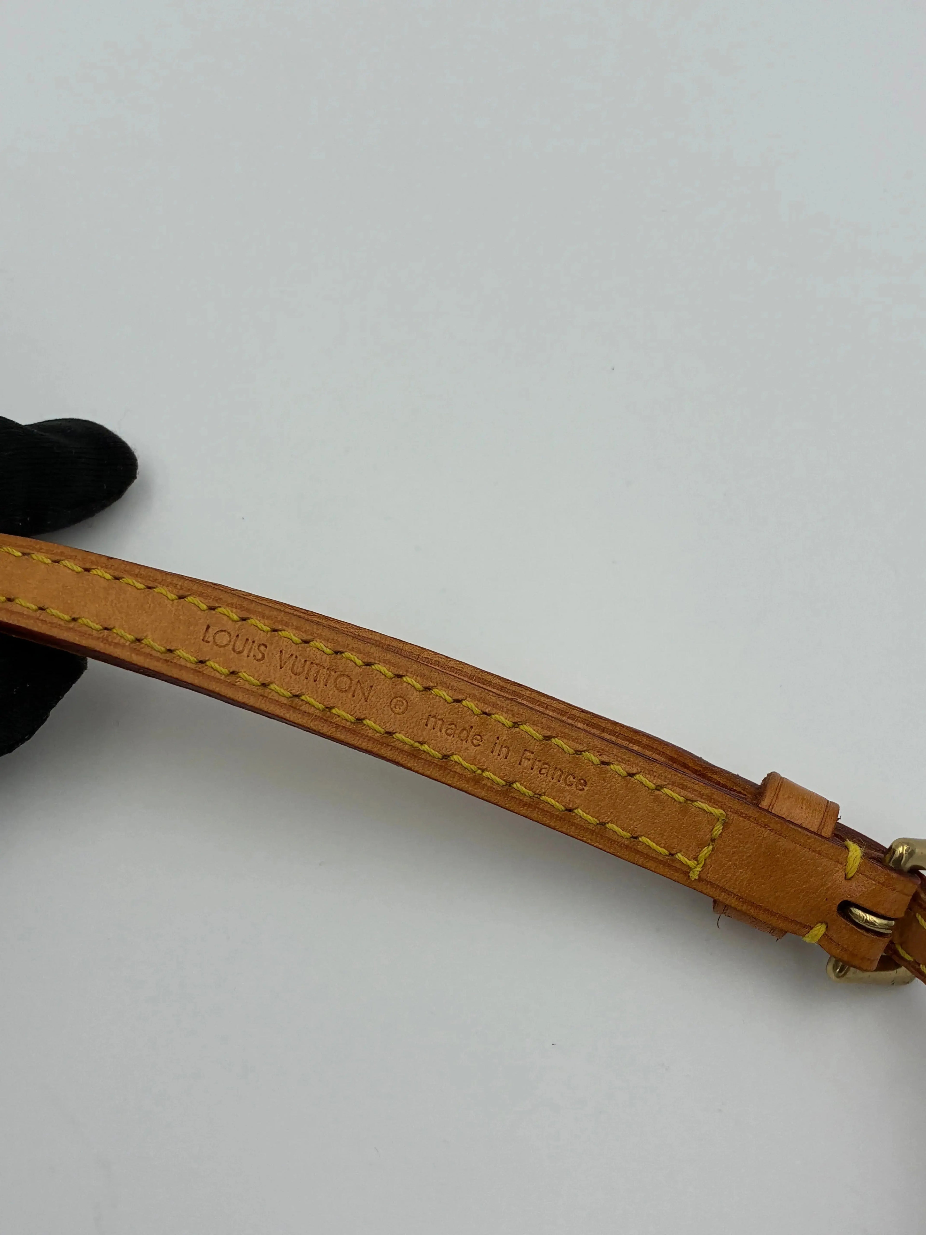 Preloved | Louis Vuitton Monogram Crossbody Pochette Twin GM Louis Vuitton