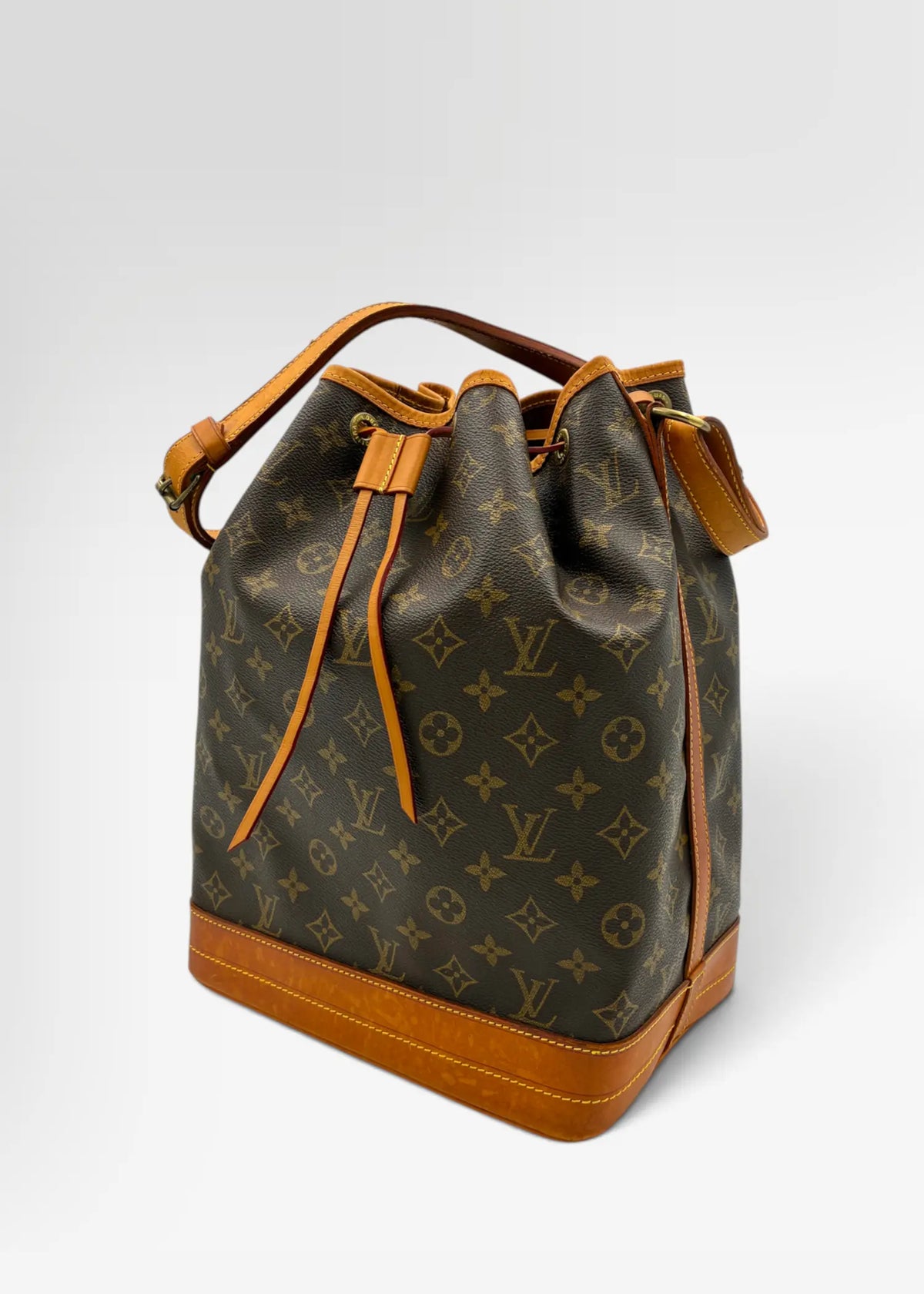 Louis Vuitton Noé Organiser Insert Hidden Luxury Project